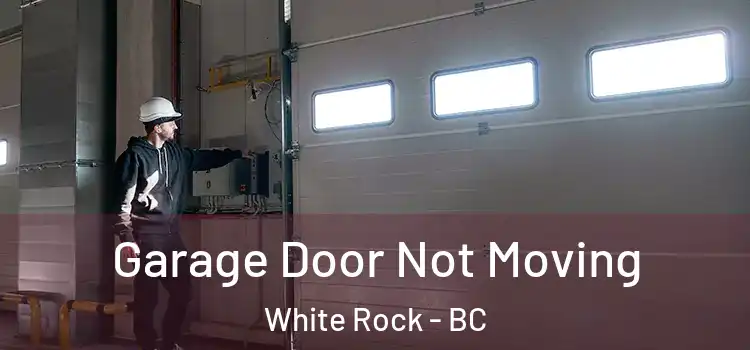  Garage Door Not Moving White Rock - BC