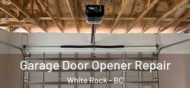  Garage Door Opener Repair White Rock - BC