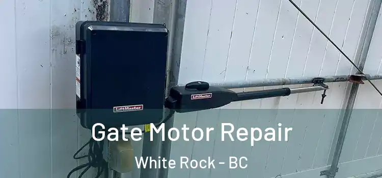 Gate Motor Repair White Rock - BC