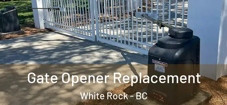 Gate Opener Replacement White Rock - BC