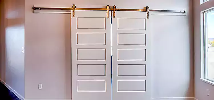 Glass Barn Door with Installation Hardware Kit White Rock