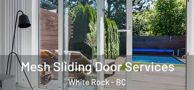 Mesh Sliding Door Services White Rock - BC
